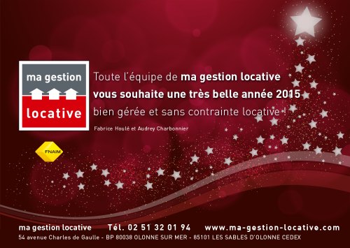 blog-mgl-voeux2015