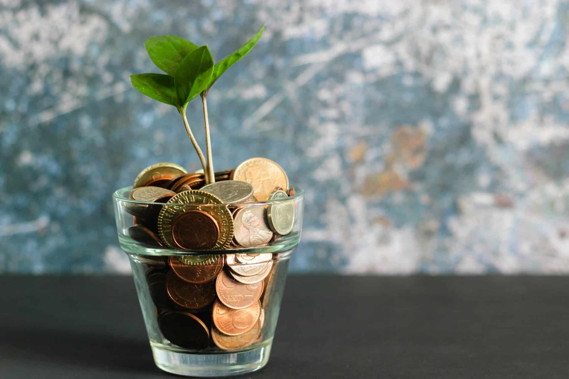 Revenus possibles de la gestion locative pour un professionnel de l’immobilier